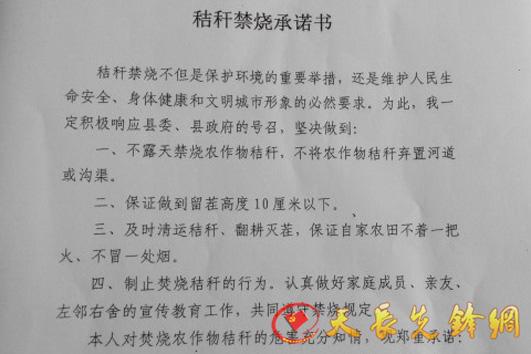 张集镇人口登记名单_张集镇孕育新型人口生育文化(3)