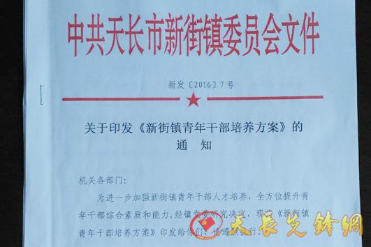 天长市新街镇八举措加强青年党员干部培养-天