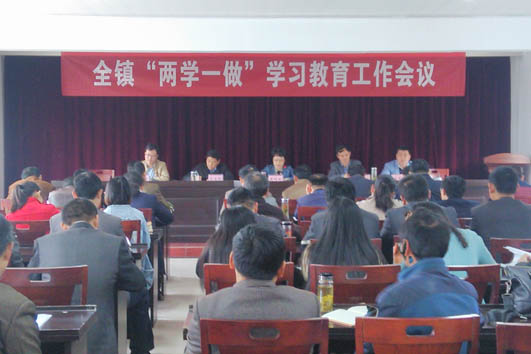 天长市新街镇四个坚持扎实开展两学一做学