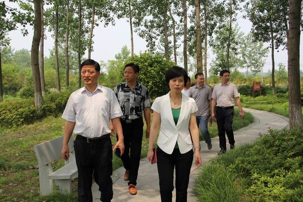 市委常委,组织部长,统战部长王莹到杨村镇调研基层党建工作
