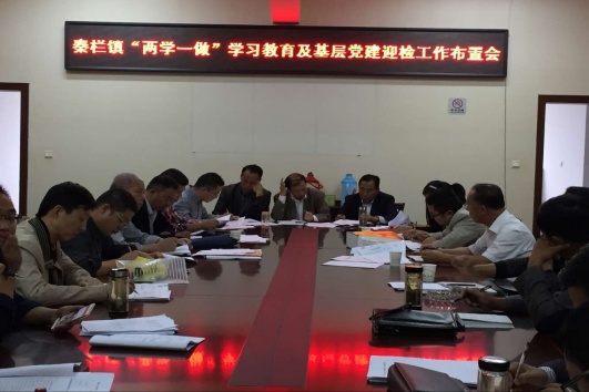 秦栏镇召开两学一做学习教育及基层党建迎检