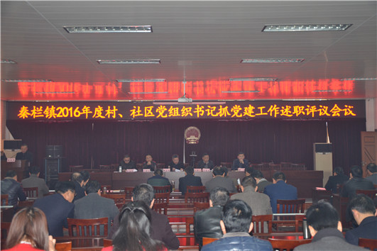 2016年度村(社区)党组织书记抓党建工作述职评