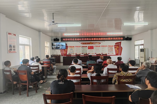 冯安村党总支开展“铭记抗战历史，传承爱国精神”主题党日活动