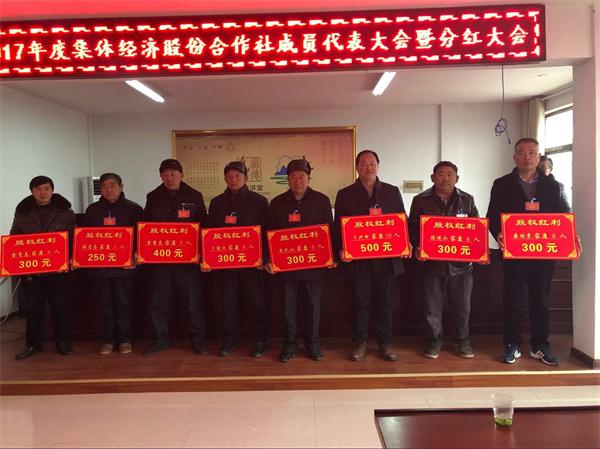 井亭村2017年度集体经济股份合作社成员代表