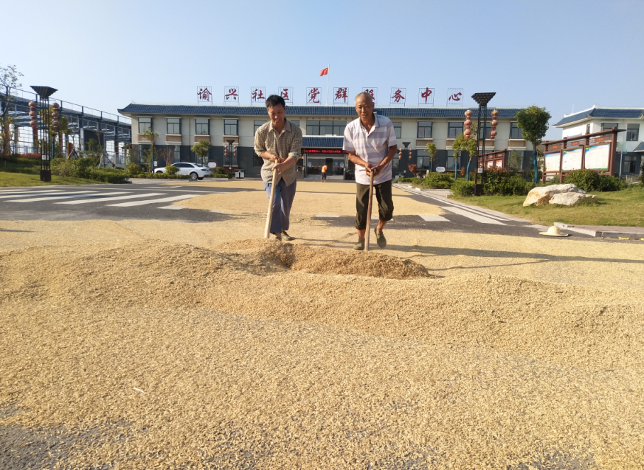 仪征乡村人口_仪征扬子江公园(3)