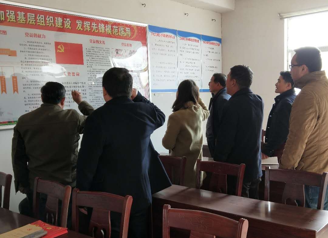 掌鼓村党员重温入党誓词