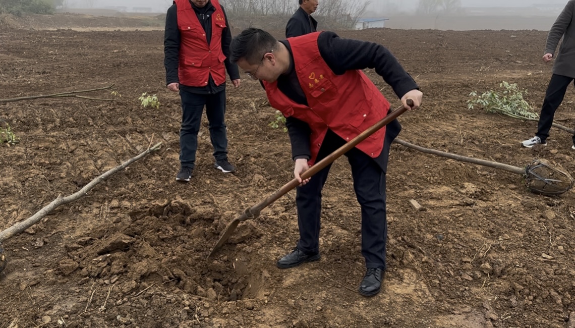 秦栏镇：植树造林 守护家园 共创绿色地球
