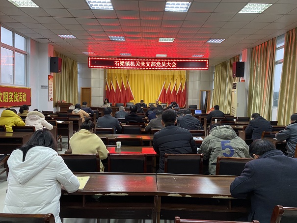 镇机关党支部召开党员大会,支部全体党员参会,支部书记陆海山主持会议