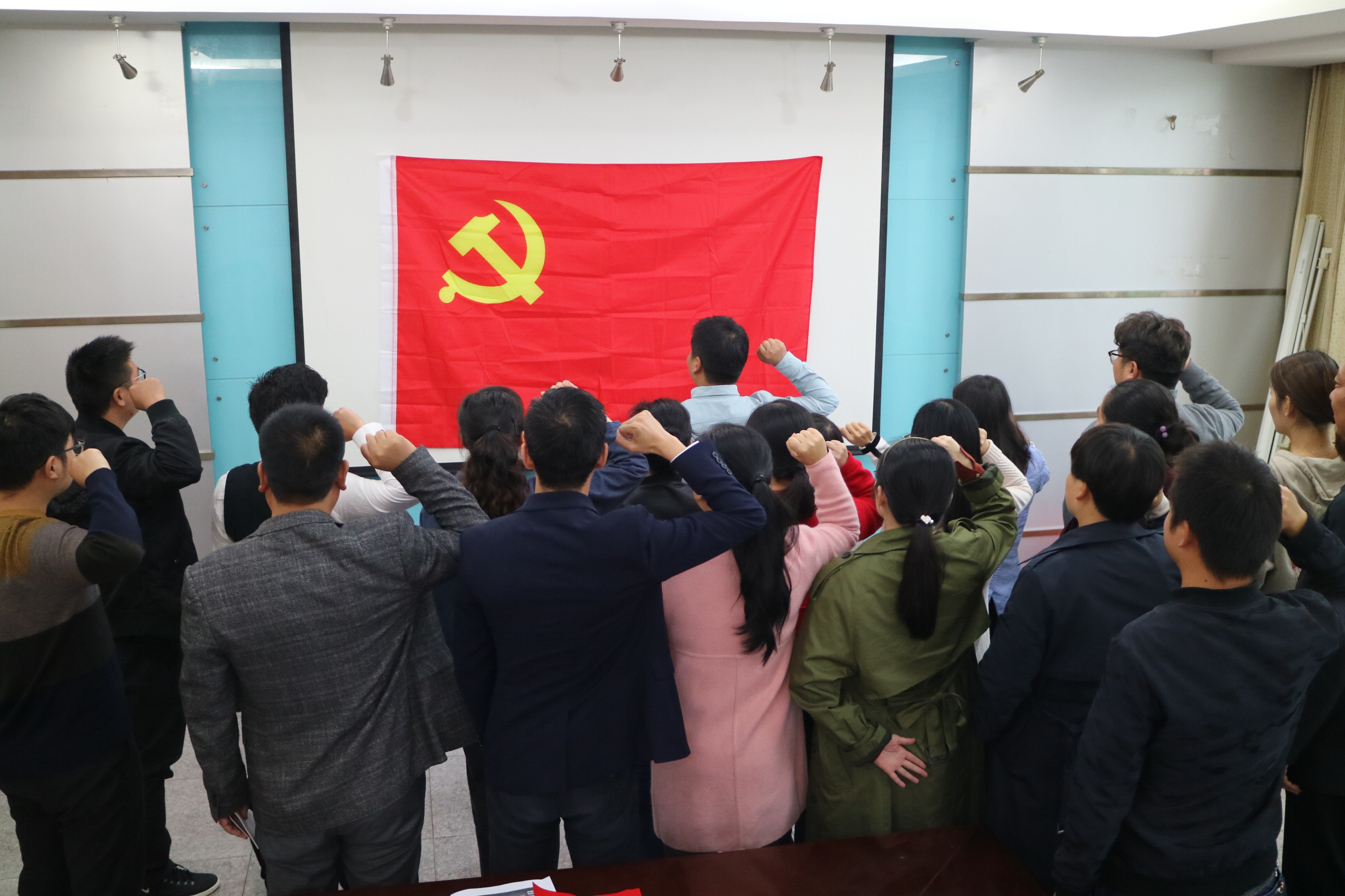 铜城镇组织预备党员宣誓