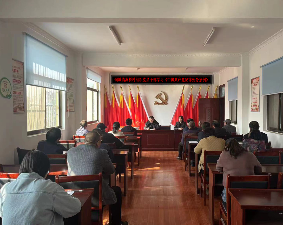 铜城镇苏桥村组织学习《中国共产党纪律处分条例》