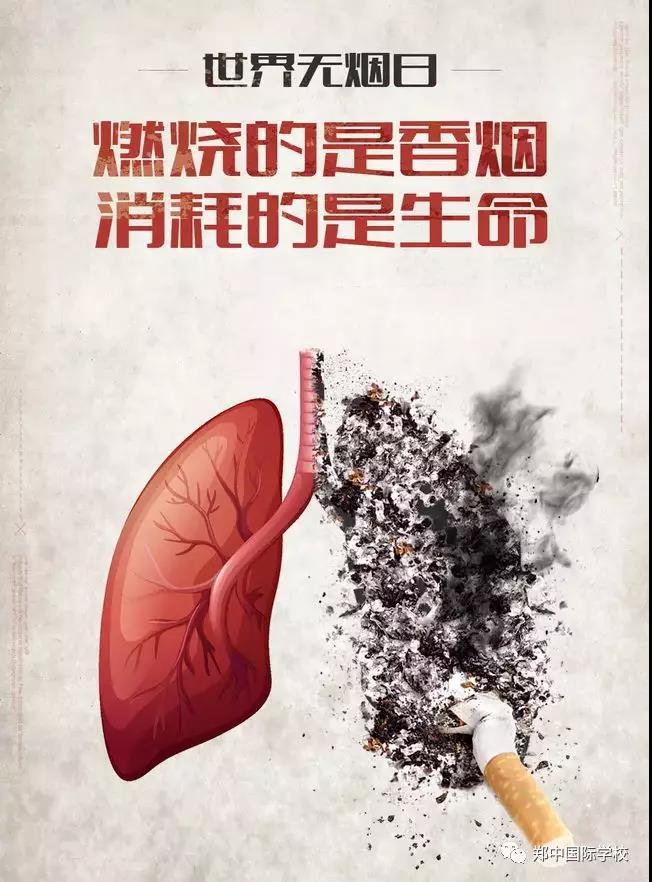 2019年世界无烟日