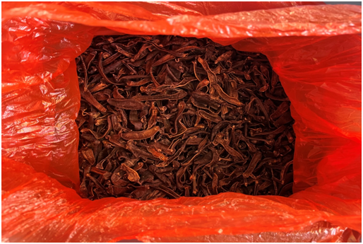 峰阳村水蛭养殖：一种潜力巨大的可持续生计方式