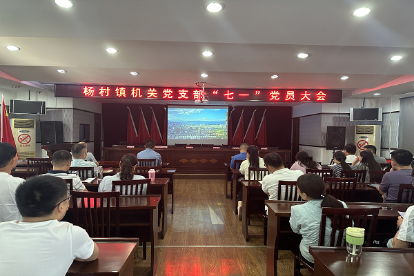 杨村镇：以案明红线，以行护清风