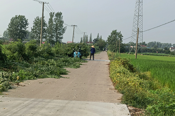 小关社区清理路边杂草
