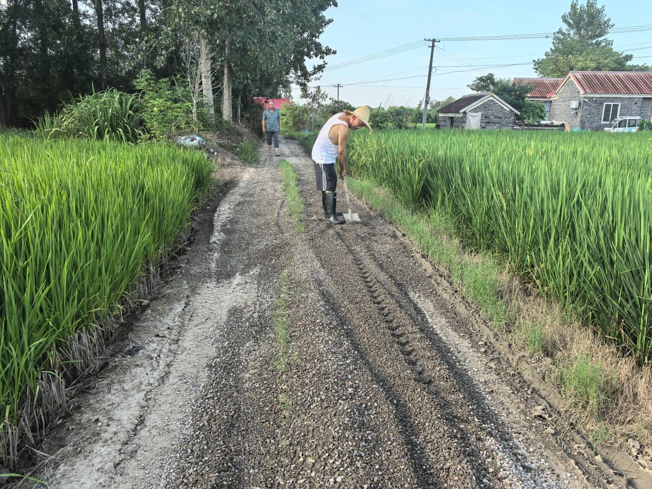 二墩村组织村民修村路保秋收