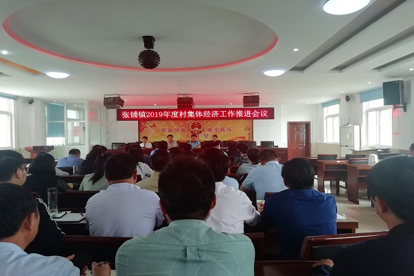 2019农村经济会议_彭城镇召开2019年农村经济工作会(3)