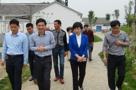 天长市委常委,组织部长,统战部长王莹深入新街镇调研基层党建工作