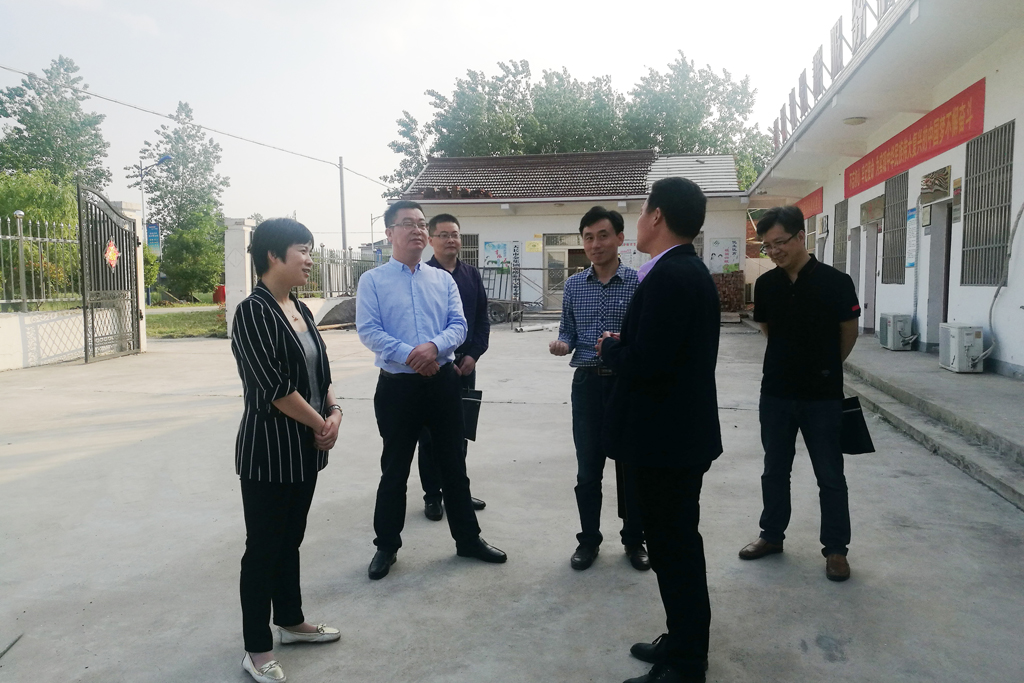市委常委组织部长王莹调研指导标准化建设和村两委换届工作
