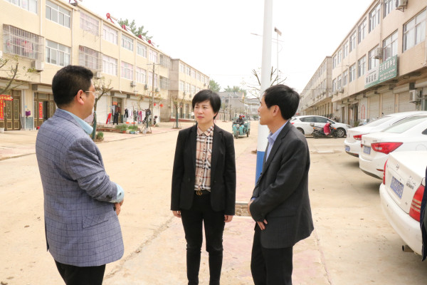 市委常委组织部长王莹到新街督导村两委换届回头看