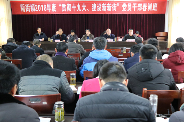 天长市新街镇下好先手棋走活基层党建整盘