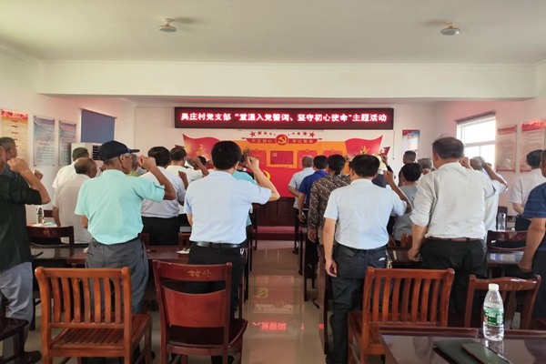 仁和集镇吴庄村召开庆祝中国共产党成立102周年大会