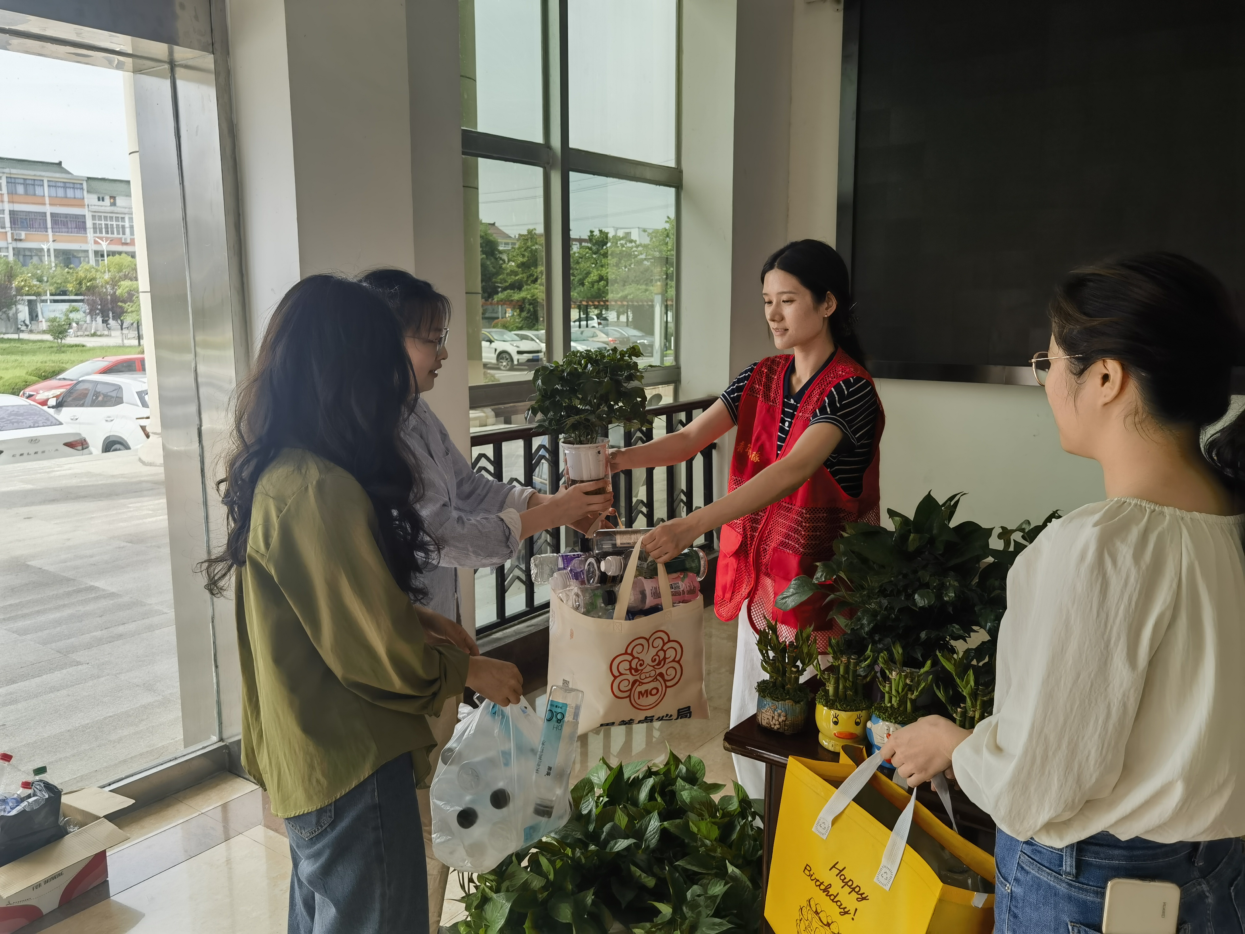 秦栏镇团委开展“废品换绿植 装扮办公室”活动