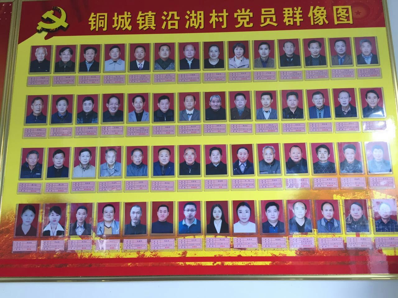 沿湖村党员群像