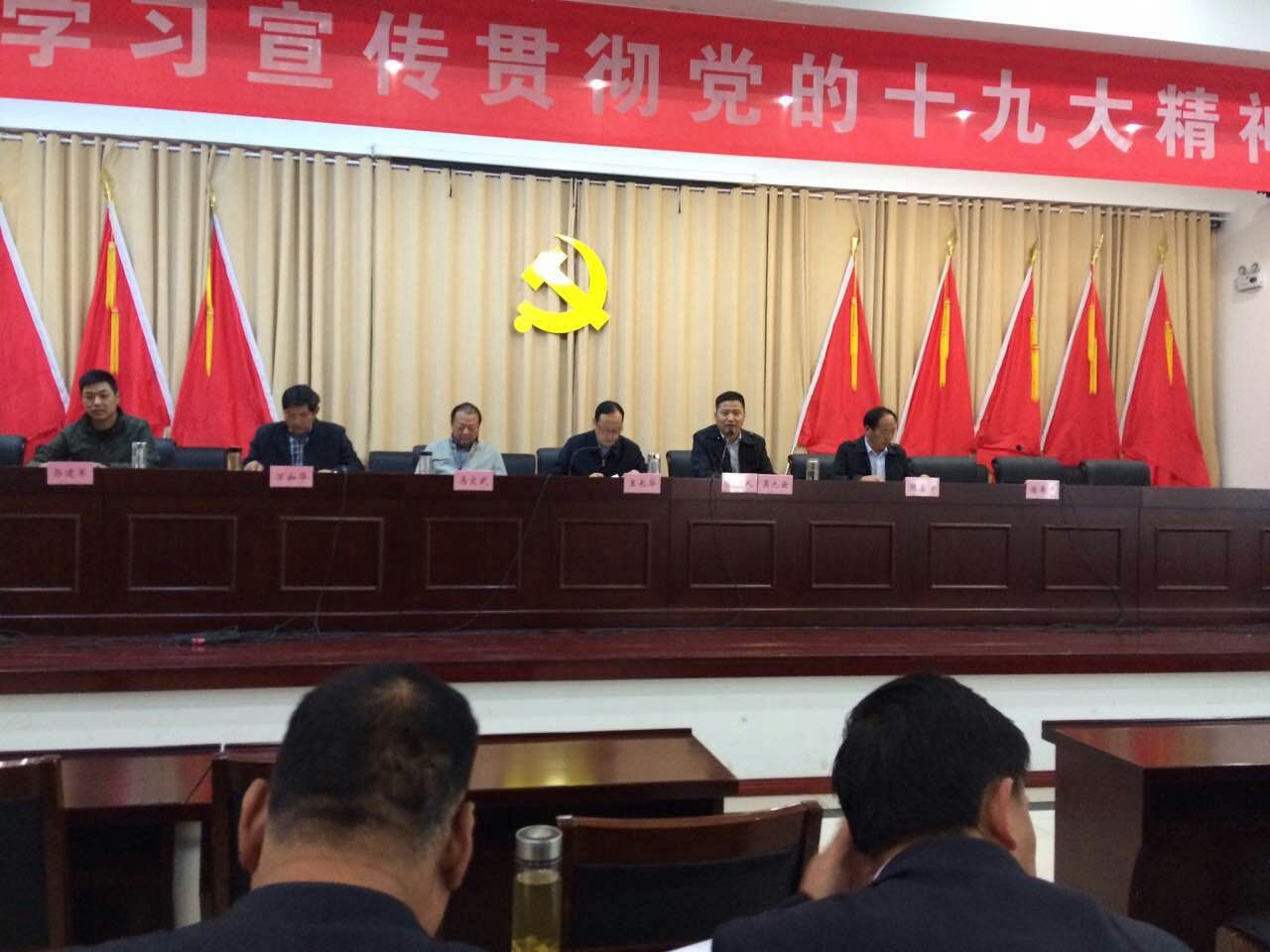铜城镇召开学习宣传贯彻党的十九大精神大会