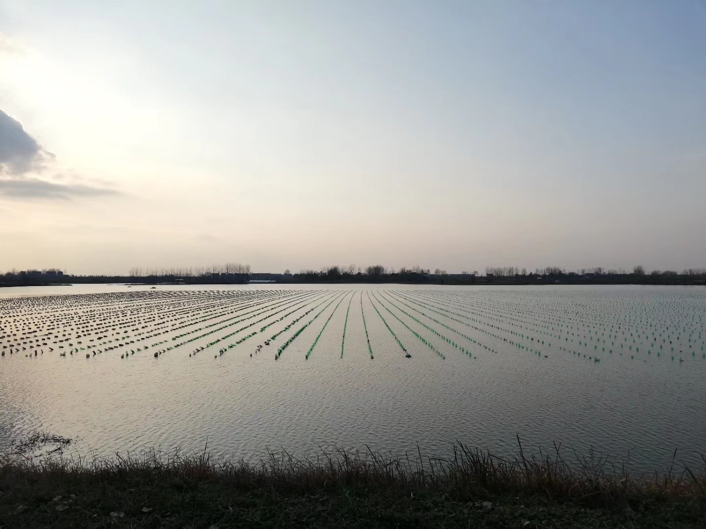 新街镇兴隆社区官田水库