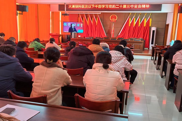 大通镇组织开展远程教育学习活动