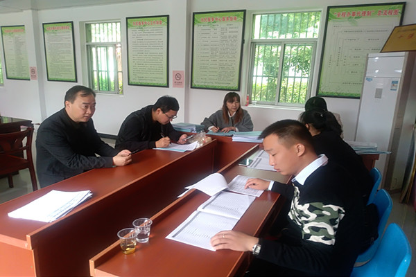 杨村镇镇长督导我社区一体化记账工作