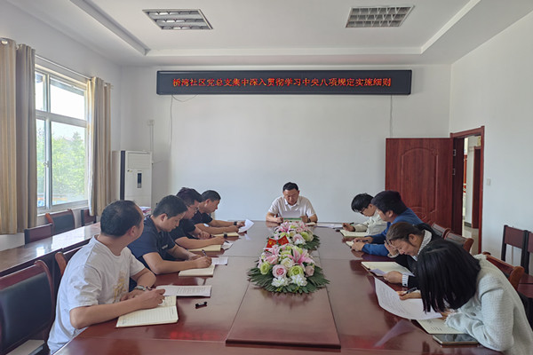 桥湾社区党总支集中深入学习贯彻中央八项规定精神