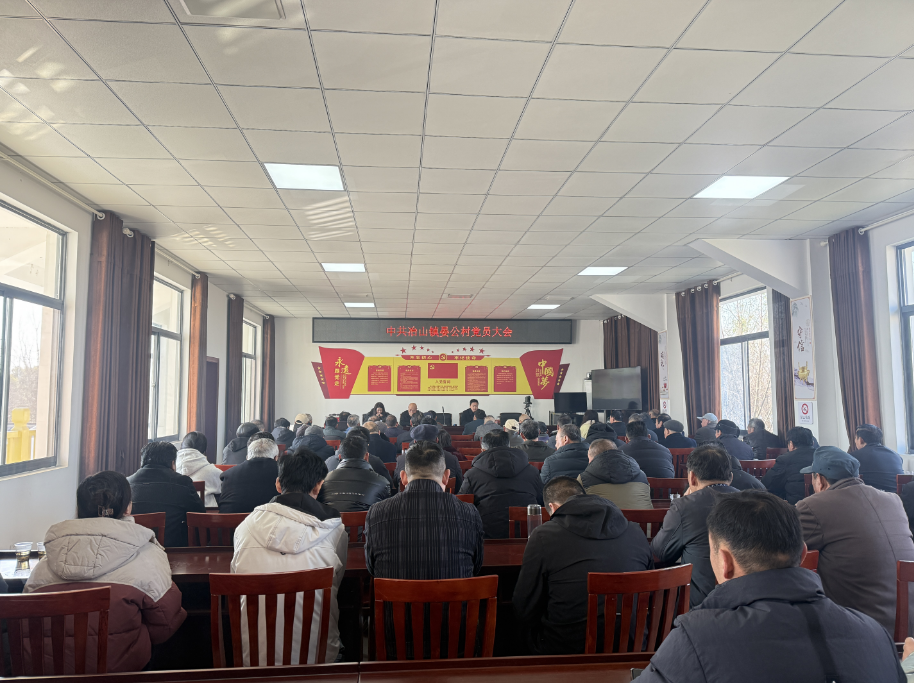 晏公村党总支召开2024年度组织生活会