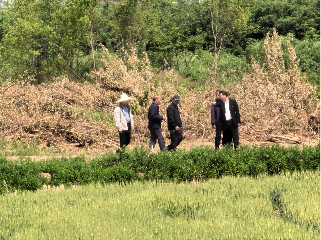 张巷村：修筑灌溉水渠 助力乡村振兴