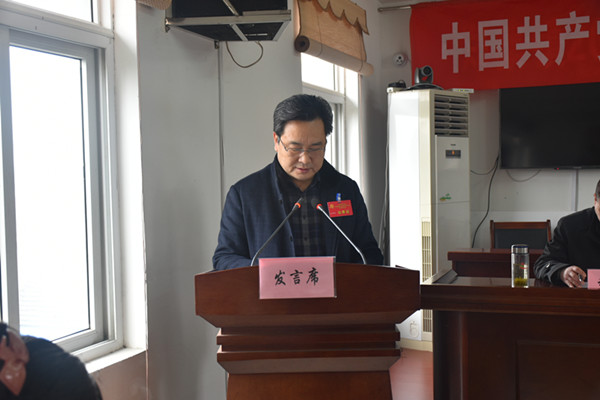 镇党委书记谭振田同志作党委工作报告