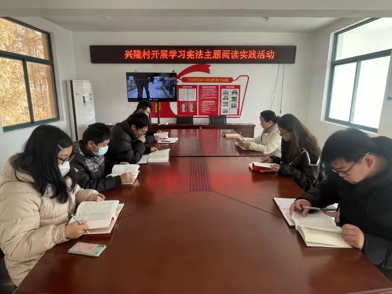 兴隆村开展学习宪法主题阅读实践活动